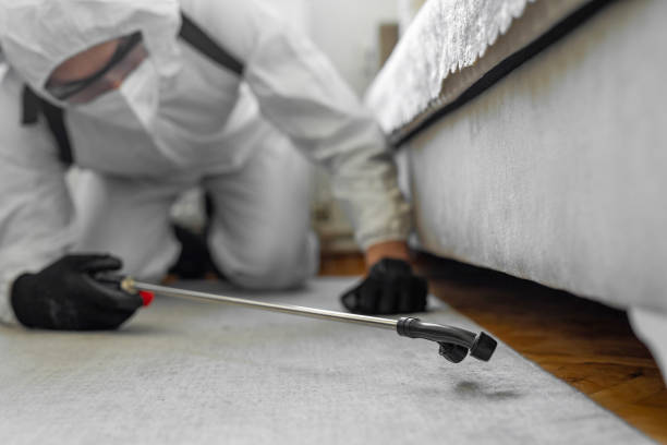 Professional Bed Bug Control technician working in Viola, NY